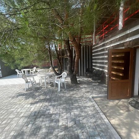 Mini-Hotel Forest Club ピツンダ エクステリア 写真