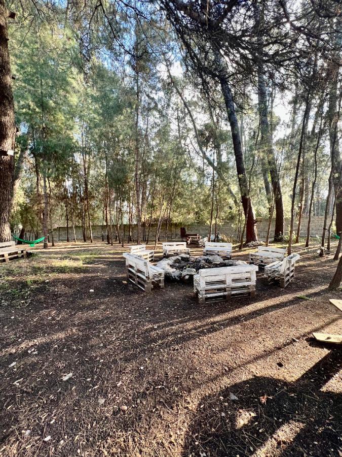 Mini-Hotel Forest Club ピツンダ エクステリア 写真