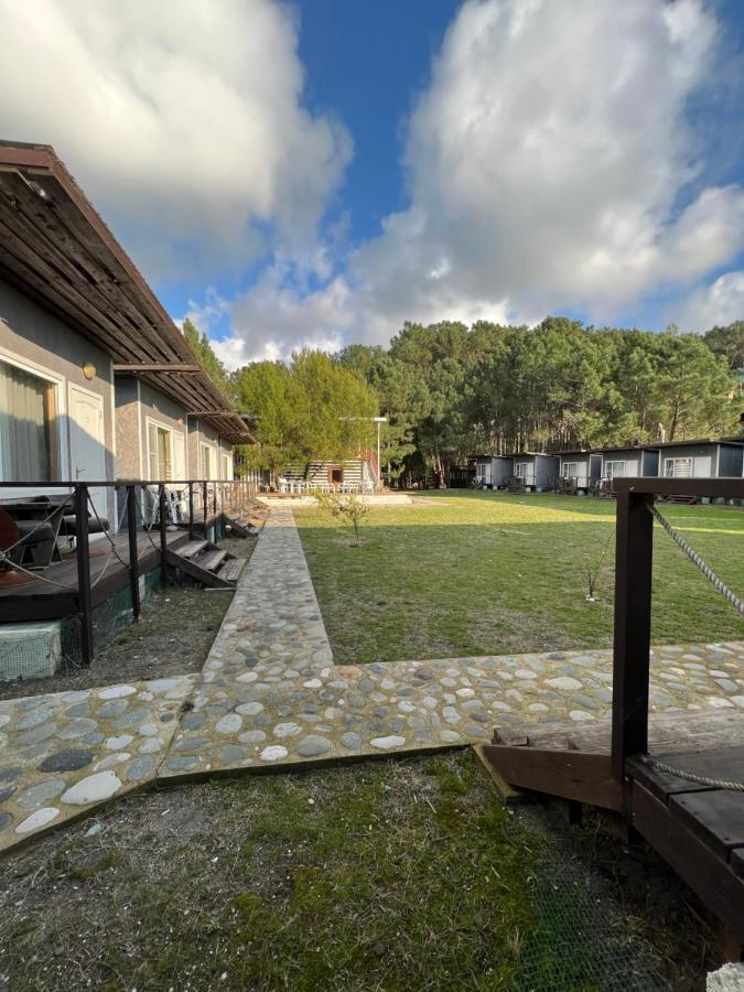 Mini-Hotel Forest Club ピツンダ エクステリア 写真