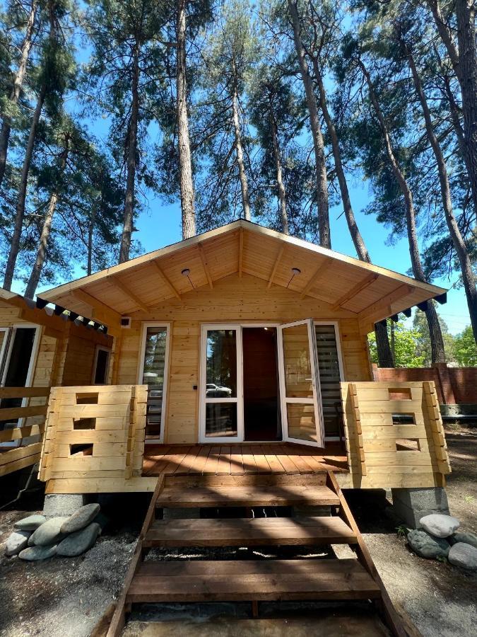 Mini-Hotel Forest Club ピツンダ エクステリア 写真