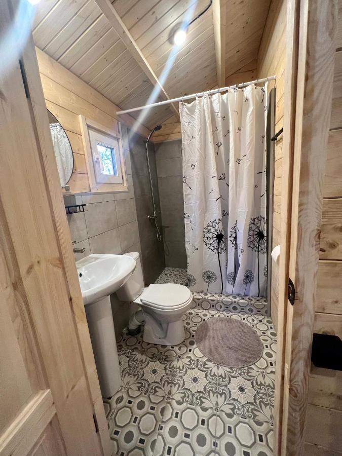 Mini-Hotel Forest Club ピツンダ エクステリア 写真