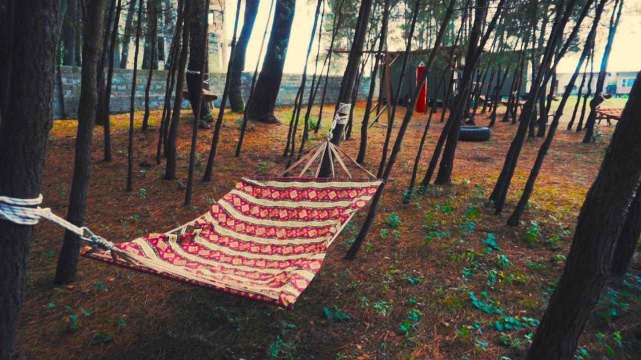 Mini-Hotel Forest Club ピツンダ エクステリア 写真